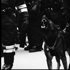 精品人妻一区二区三区麻豆三炮
